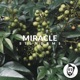 Miracle Single