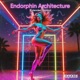 Endorphin Architecture Extended Version Single