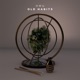 Old Habits Single