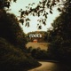 Roots Single
