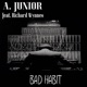 Bad Habit feat Richard Wynnes Single