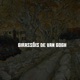 Girassois de Van Gogh Single
