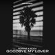 Goodbye My Lover Single