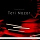 Teri Nazar feat Aadhya Verma Single