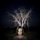Haunted Single