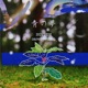 青の夢 Single
