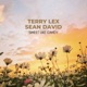 Sweet Like Candy Spring 24 Remix Single