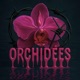 ORCHIDÉES feat CRBR Akxl Single