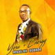 Yesu Energy Single