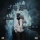 Fly High feat Big Mic E Single