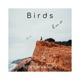 Birds Single