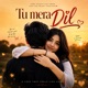 Tu Mera Dil Single