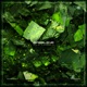 Bassline Extended Mix Single