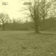 Am dritten Tag