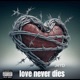Love Never Dies Single