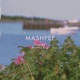 mashpee Single