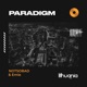 Paradigm Single