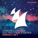 Perfect Sky feat Matthew Steeper Single
