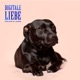Digitale Liebe feat HRLKN Harry JanG