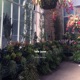 Winter Gardens Single