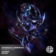 Echoes of Nova Single