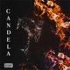 Candela Single