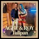 Tulipan Single