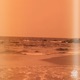 Apricot Single