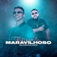 Vai Que Tá Maravilhoso Single
