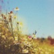 The Last Summer Like This EP