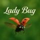 Lady Bug feat Olivier Samouillan Single