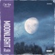 Flooded Feelings Single