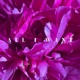 All I Want EP