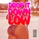 Drop It Down Low Single