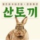 Mountainrabit Single