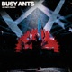Busy Ants Olympe Remix Single