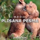 Plisana Pesma Single