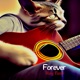 Forever Single