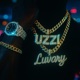 Shein feat Luvary Single
