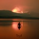 Primal EP