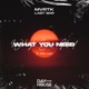What You Need Single