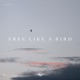 Free Like a Bird Single