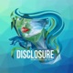 Disclosure 2016 Single