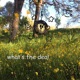 Say to me Single