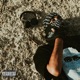 Sada Al Rahil EP