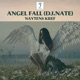 Angel Fall DJ Nate Edit Single