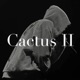 Cactus 2 Single
