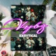 Vybz Single