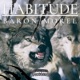 Habitude feat Morel Single