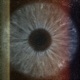 sommer in deinen augen Single